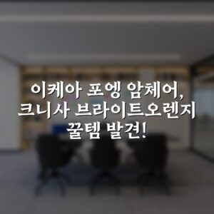 이케아 포엥 암체어, 크니사 브라이트오렌지 꿀템 발견!